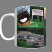 Pictures of Haspin Acres on Mug with green dividers